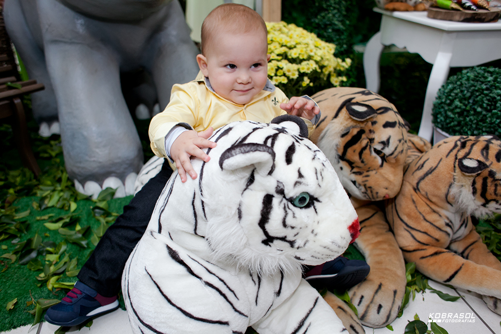 umano, umaninho, primeiroaninho, fotografiainfantil, fotodefesta, festadeumaninho