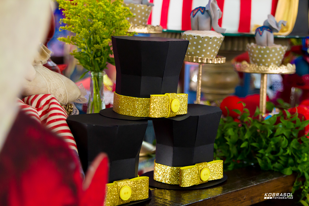 umano, umaninho, primeiroaninho, fotografiainfantil, fotodefesta, festadeumaninho