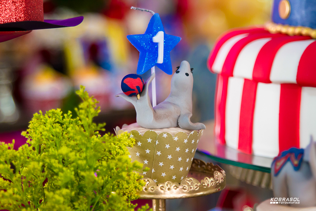 umano, umaninho, primeiroaninho, fotografiainfantil, fotodefesta, festadeumaninho