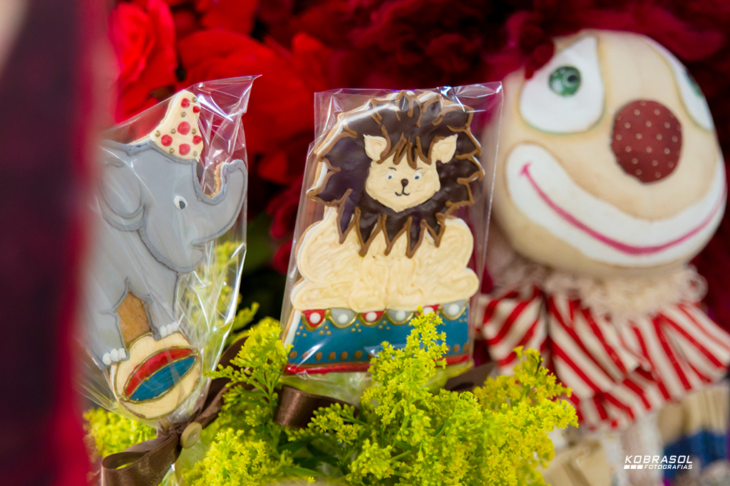 umano, umaninho, primeiroaninho, fotografiainfantil, fotodefesta, festadeumaninho