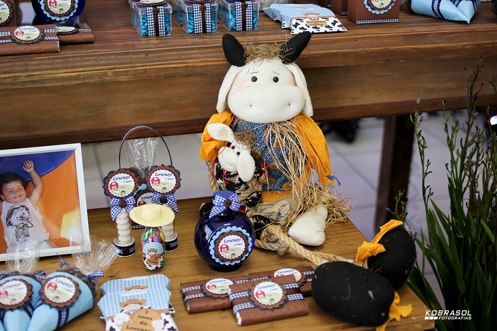 doisanos, doisaninhos, segundoaninho, fotografiainfantil, fotodefesta, festadedoisannos, festainfantil