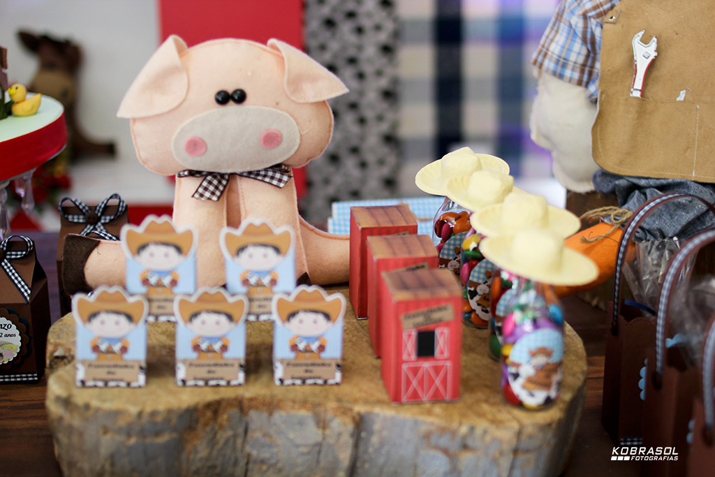 doisanos, doisaninhos, segundoaninho, fotografiainfantil, fotodefesta, festadedoisannos, festainfantil