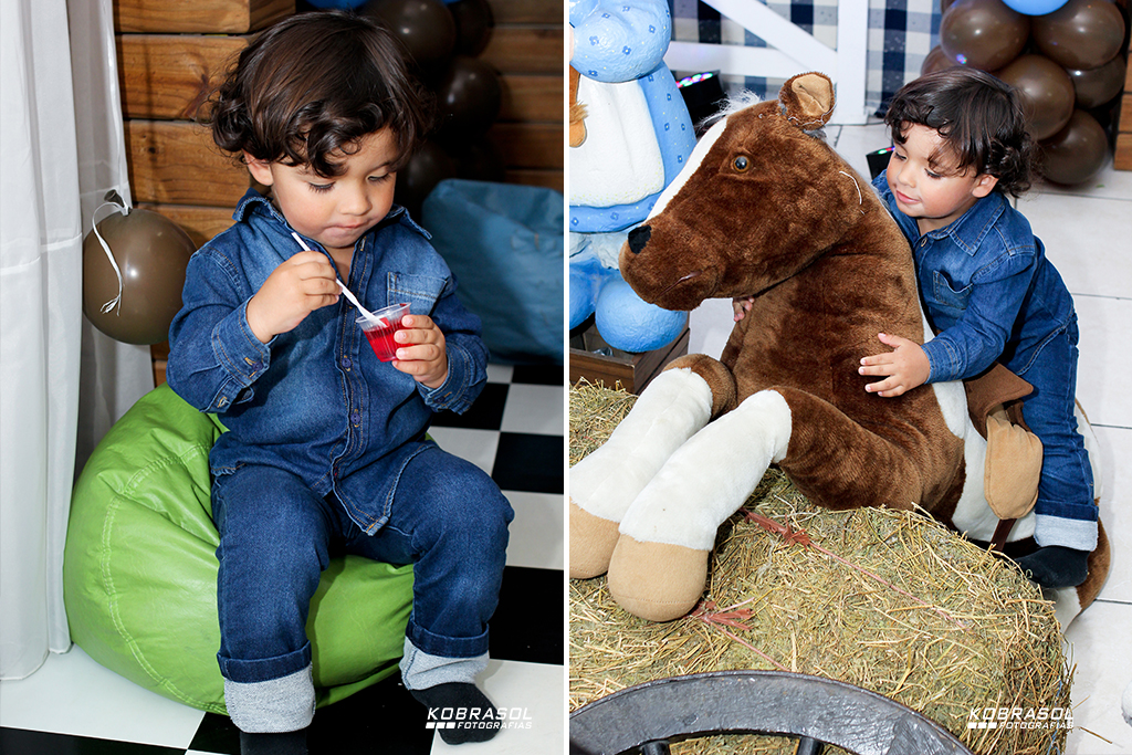 doisanos, doisaninhos, segundoaninho, fotografiainfantil, fotodefesta, festadedoisannos, festainfantil