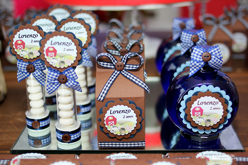 doisanos, doisaninhos, segundoaninho, fotografiainfantil, fotodefesta, festadedoisannos, festainfantil