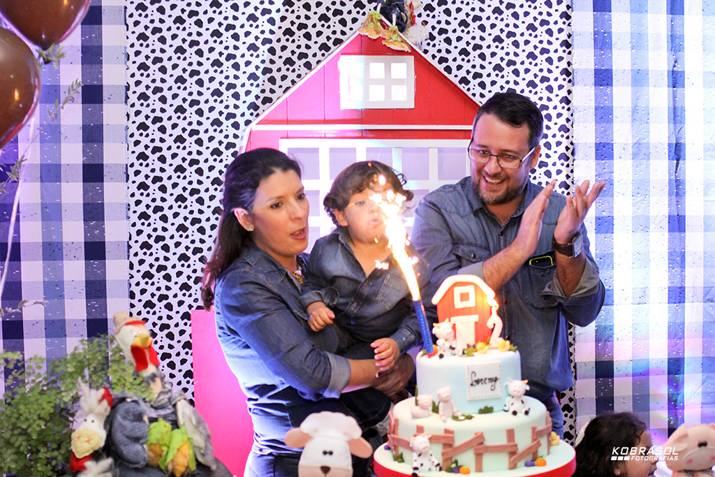 doisanos, doisaninhos, segundoaninho, fotografiainfantil, fotodefesta, festadedoisannos, festainfantil