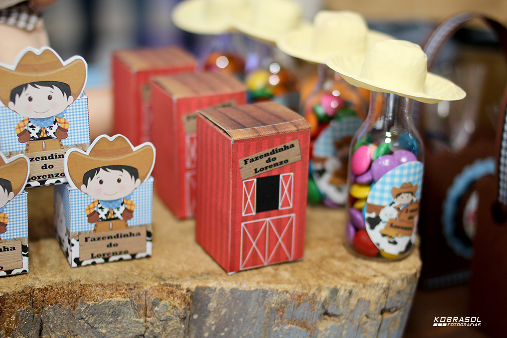 doisanos, doisaninhos, segundoaninho, fotografiainfantil, fotodefesta, festadedoisannos, festainfantil