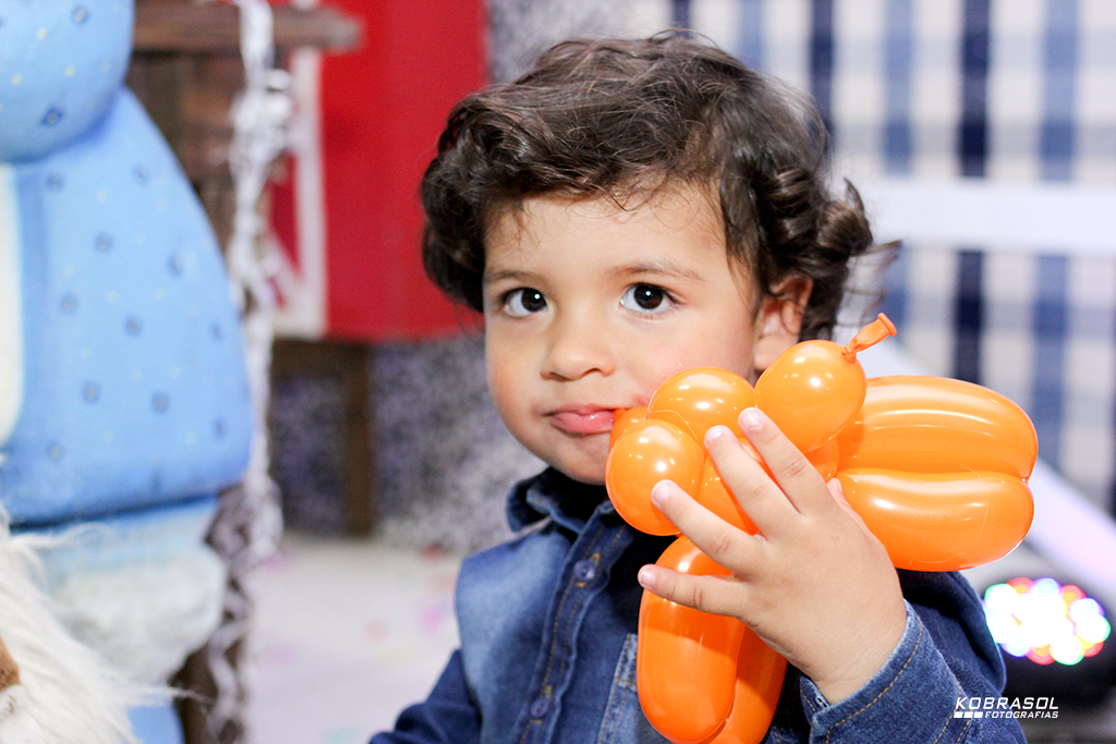 doisanos, doisaninhos, segundoaninho, fotografiainfantil, fotodefesta, festadedoisannos, festainfantil