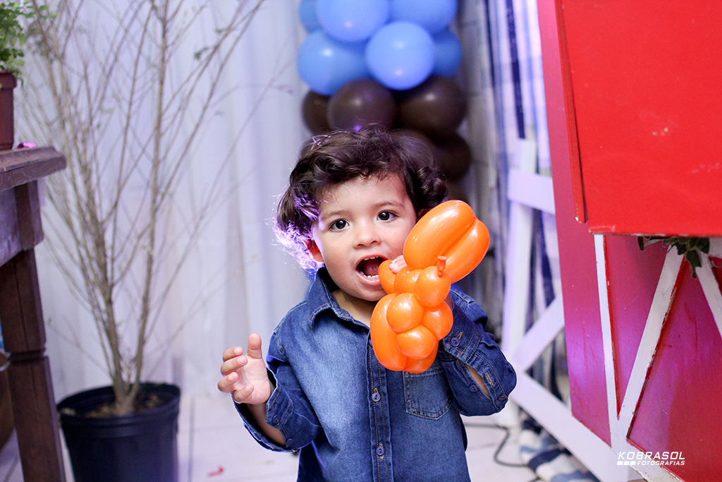 doisanos, doisaninhos, segundoaninho, fotografiainfantil, fotodefesta, festadedoisannos, festainfantil