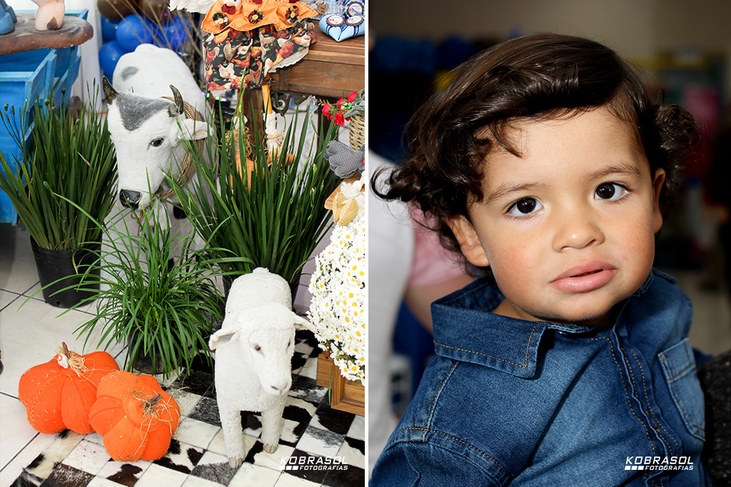 doisanos, doisaninhos, segundoaninho, fotografiainfantil, fotodefesta, festadedoisannos, festainfantil