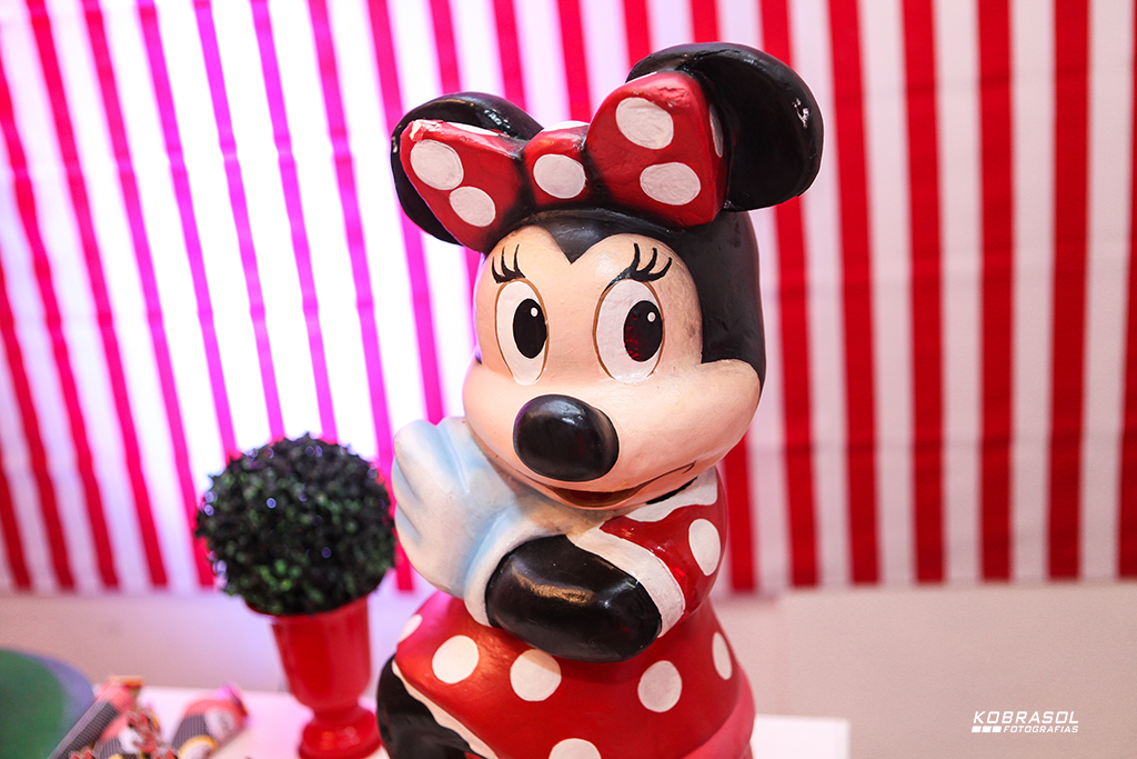 cincoanos, quintoaninho, fotografiainfantil, fotodefesta, festainfantil