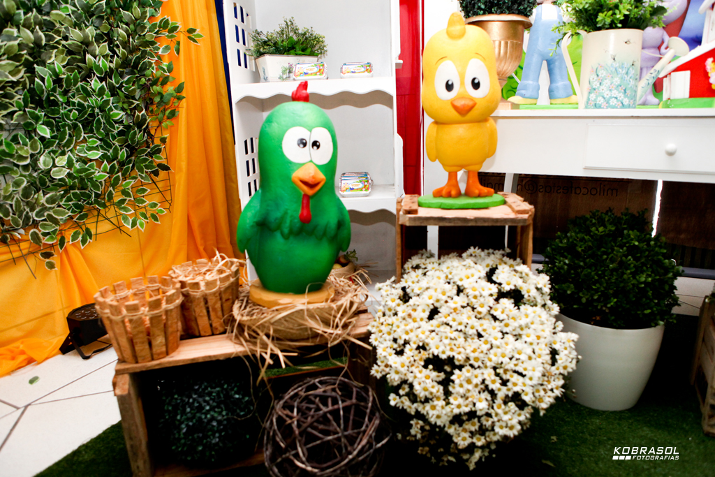 umano, umaninho, primeiroaninho, fotografiainfantil, fotodefesta, festadeumaninho