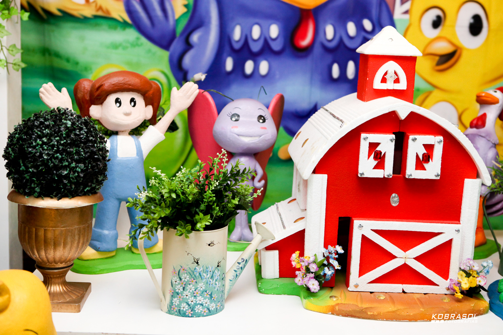 umano, umaninho, primeiroaninho, fotografiainfantil, fotodefesta, festadeumaninho