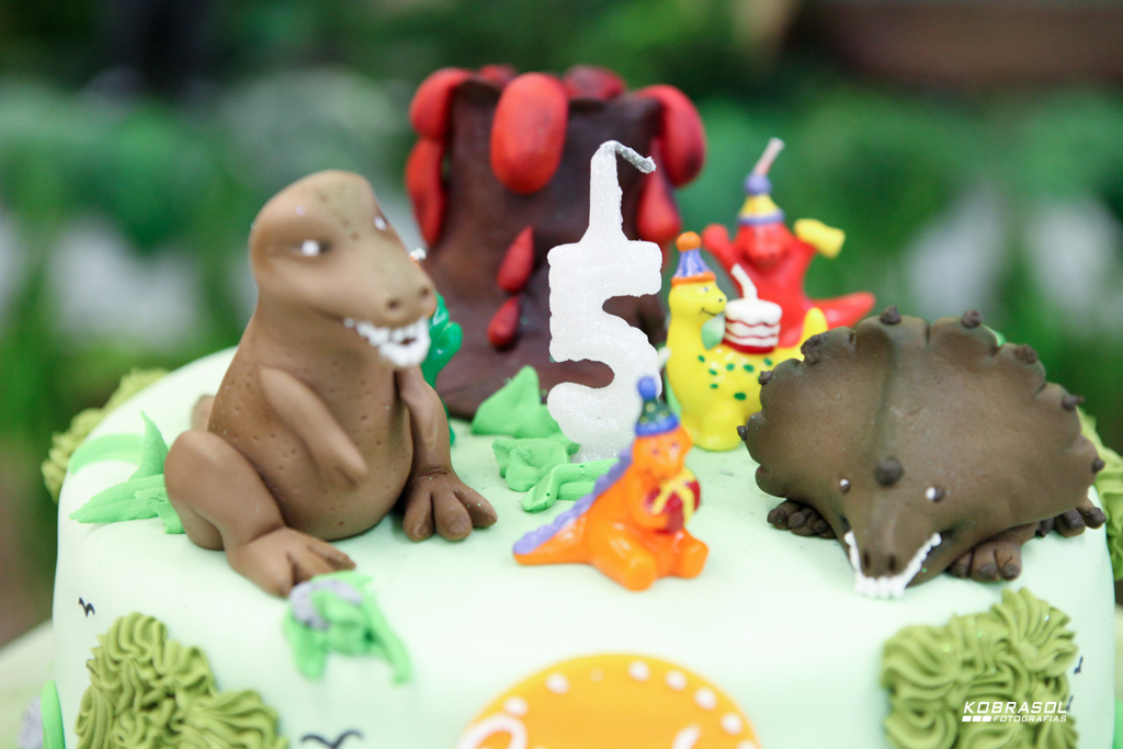 cincoanos, quintoaninho, fotografiainfantil, fotodefesta, festadecincoaninhos