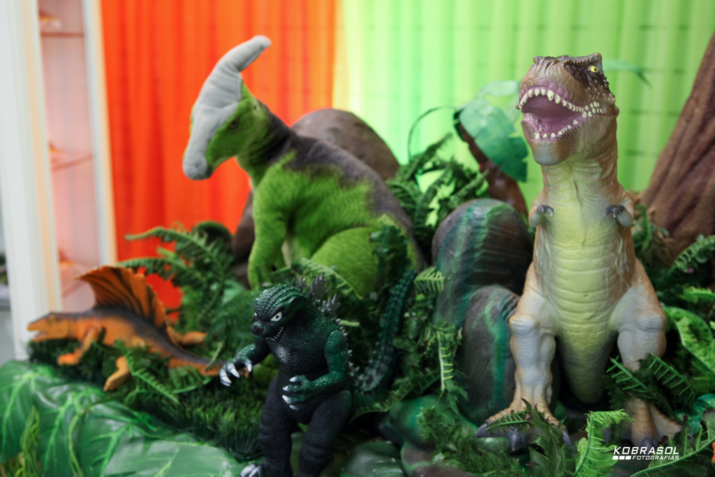 cincoanos, quintoaninho, fotografiainfantil, fotodefesta, festadecincoaninhos