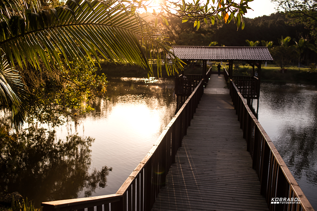 casamento, wedding, boda, fotografiadecasamento, fotosdecasamento, casamentonaigreja, bride, groom