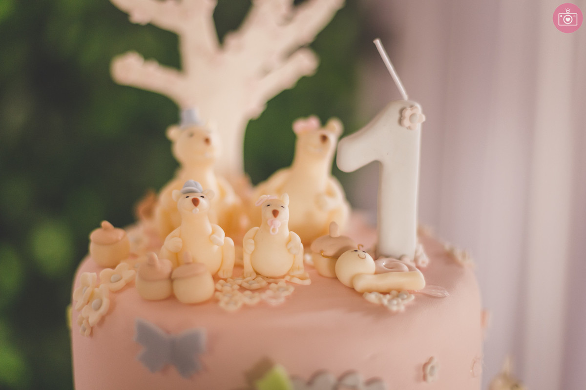 aniversario 1 ano Alice