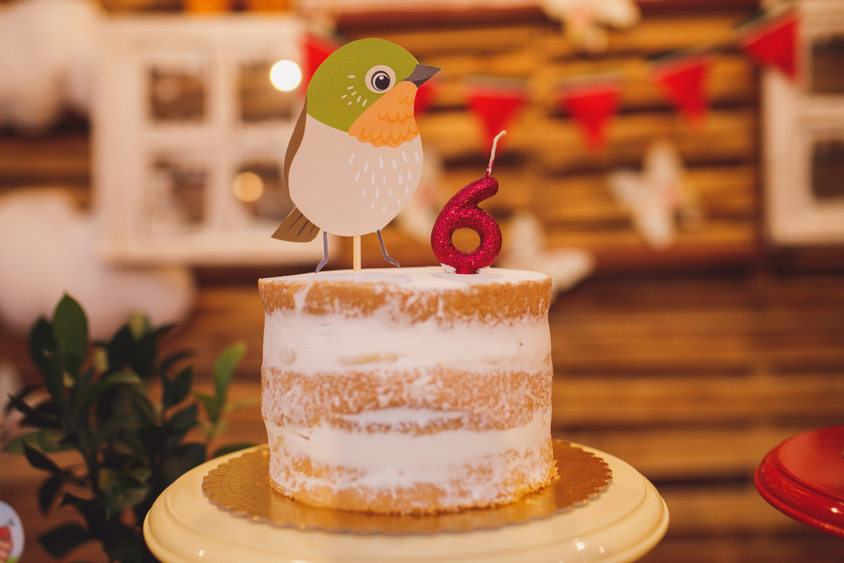 fotografa familia curitiba - aniversário menino e menina flor de quintal 