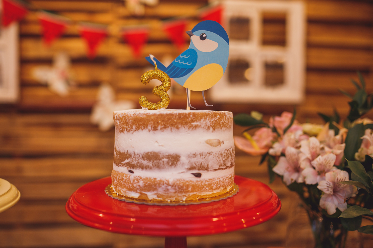 fotografa familia curitiba - aniversário menino e menina flor de quintal 