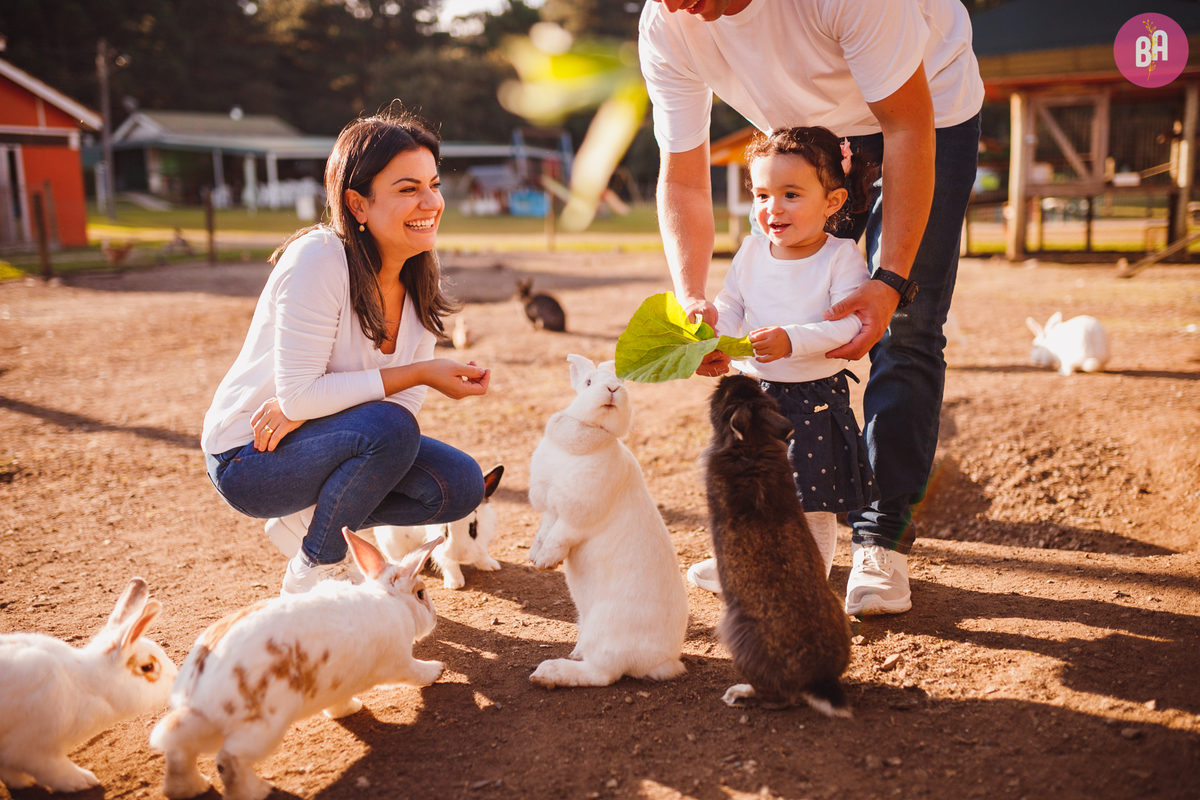 fotografa familia curitiba - ensaio externo Vila dos animais 