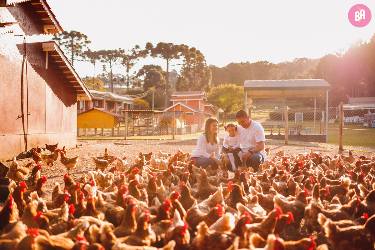 fotografa familia curitiba - ensaio externo Vila dos animais 