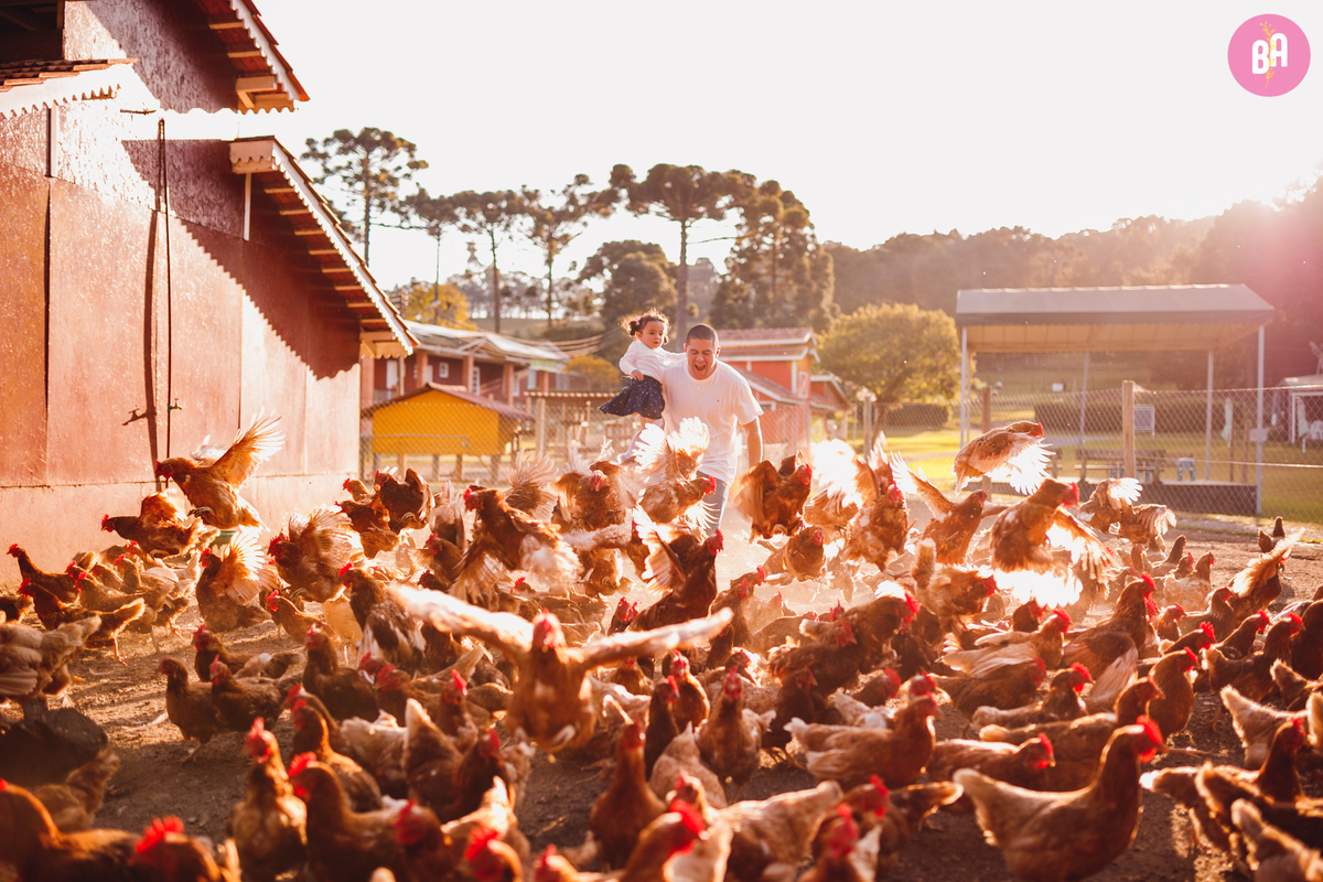 fotografa familia curitiba - ensaio externo Vila dos animais 
