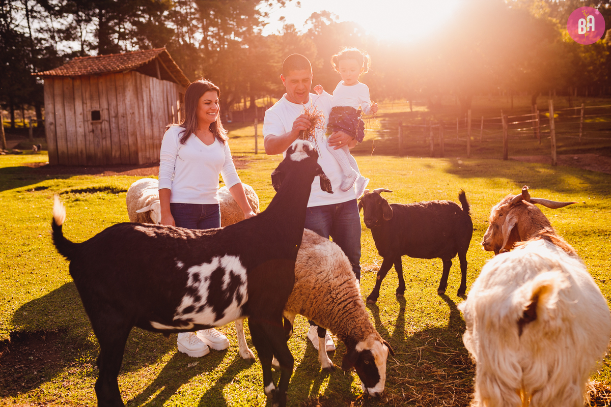 fotografa familia curitiba - ensaio externo Vila dos animais 