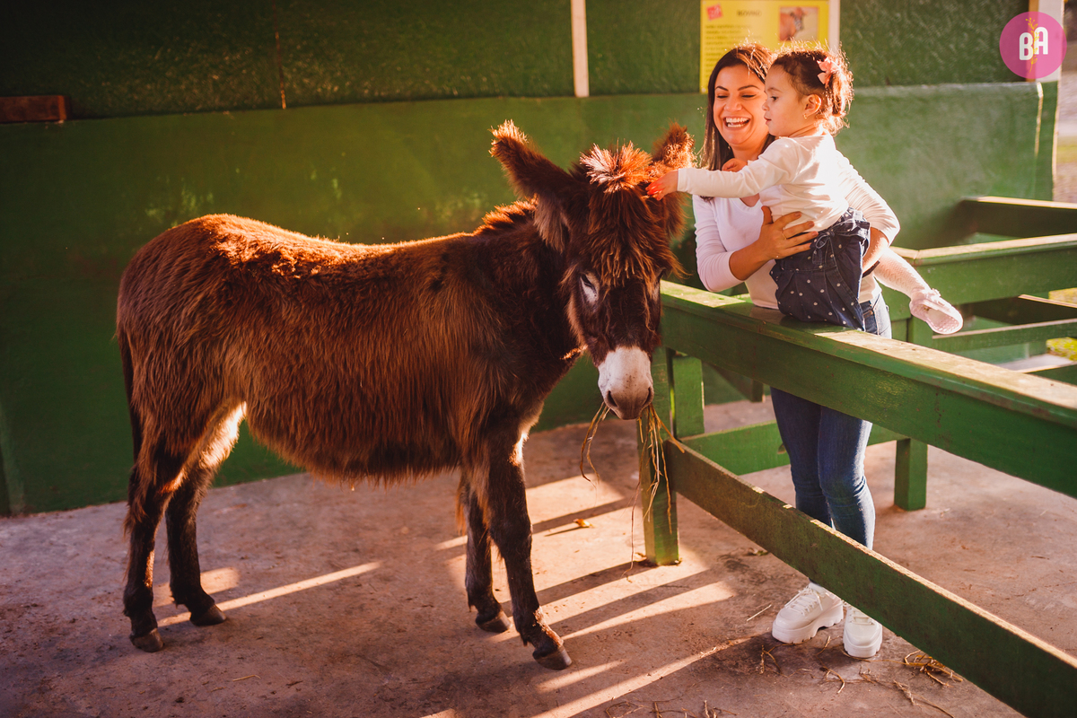 fotografa familia curitiba - ensaio externo Vila dos animais 