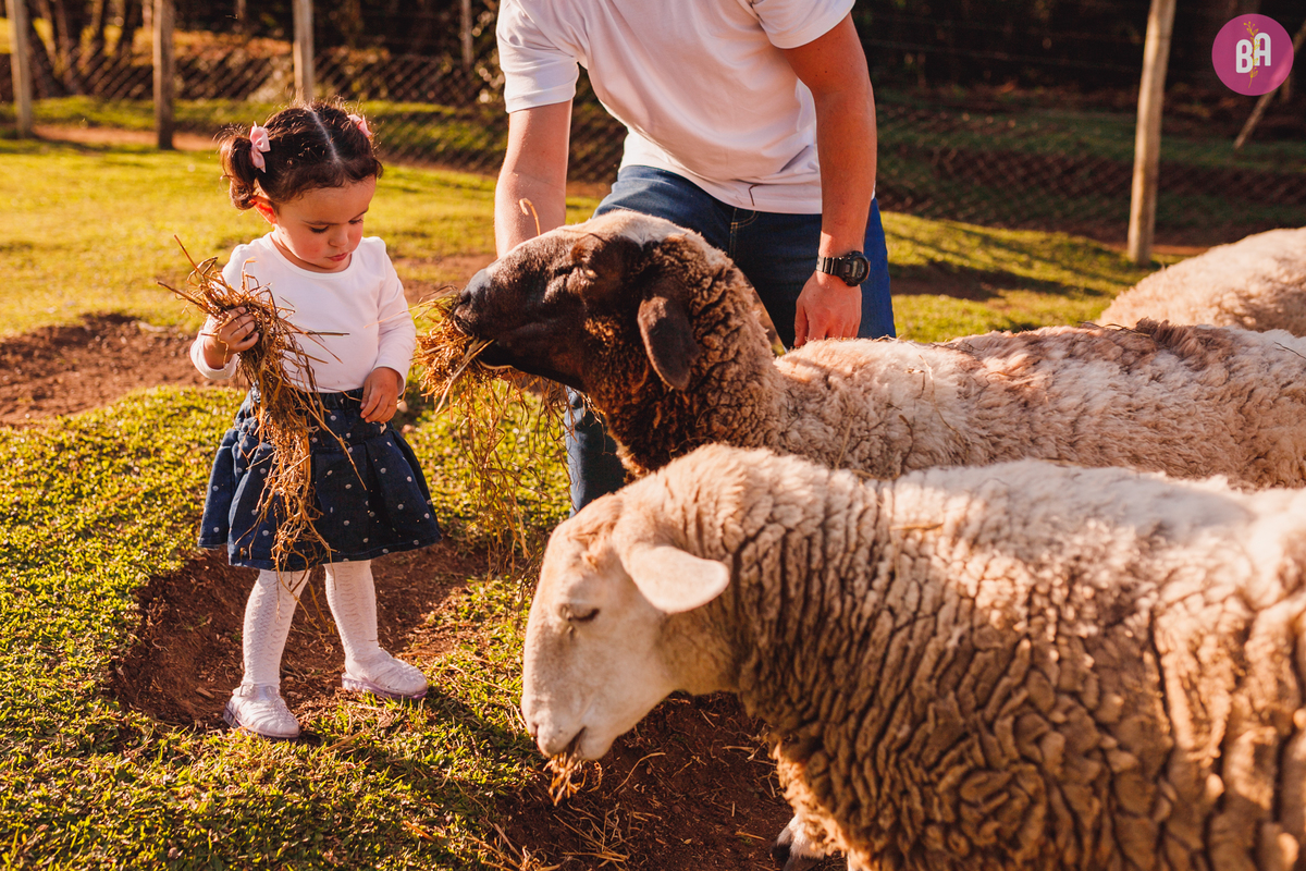 fotografa familia curitiba - ensaio externo Vila dos animais 