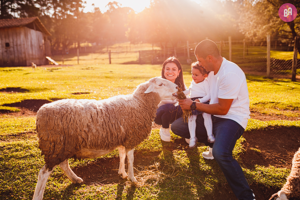fotografa familia curitiba - ensaio externo Vila dos animais 