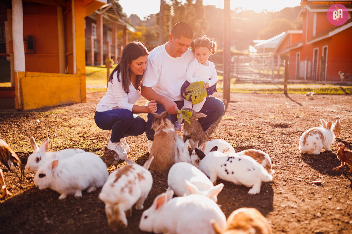 fotografa familia curitiba - ensaio externo Vila dos animais 