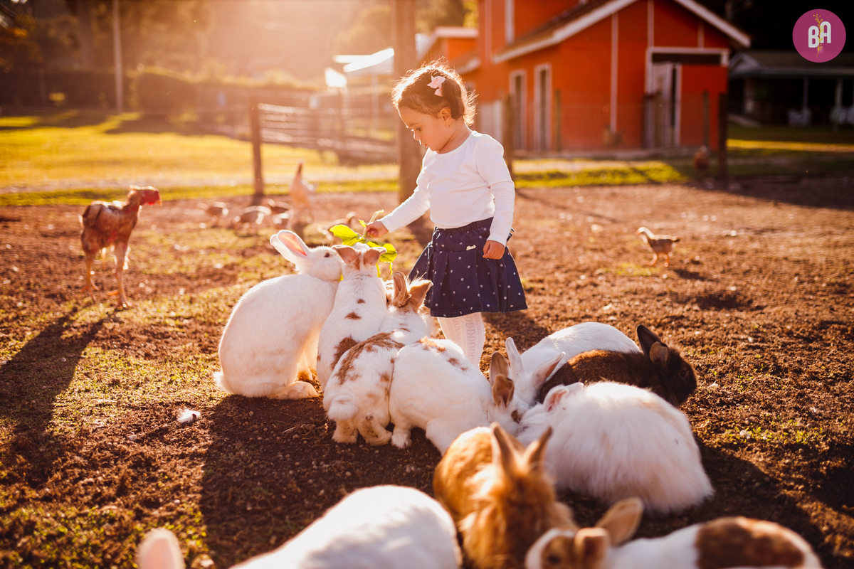 fotografa familia curitiba - ensaio externo Vila dos animais 