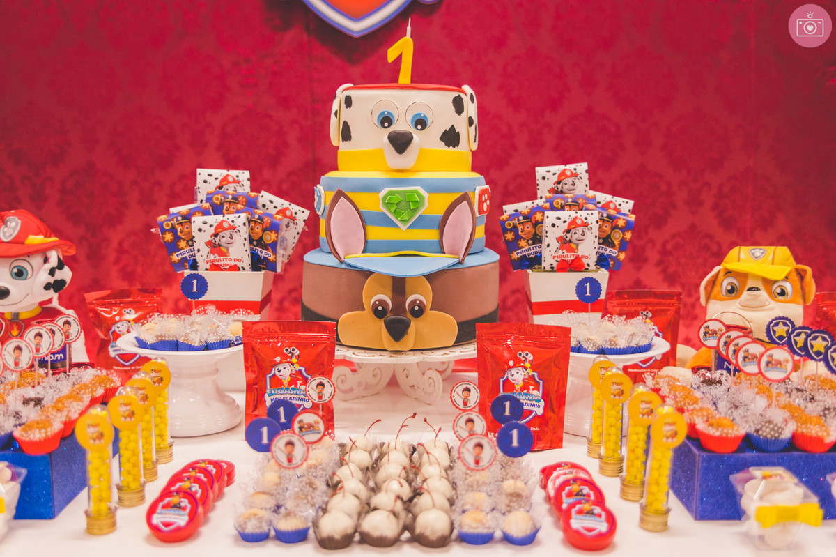 aniversario dudu - 1 ano