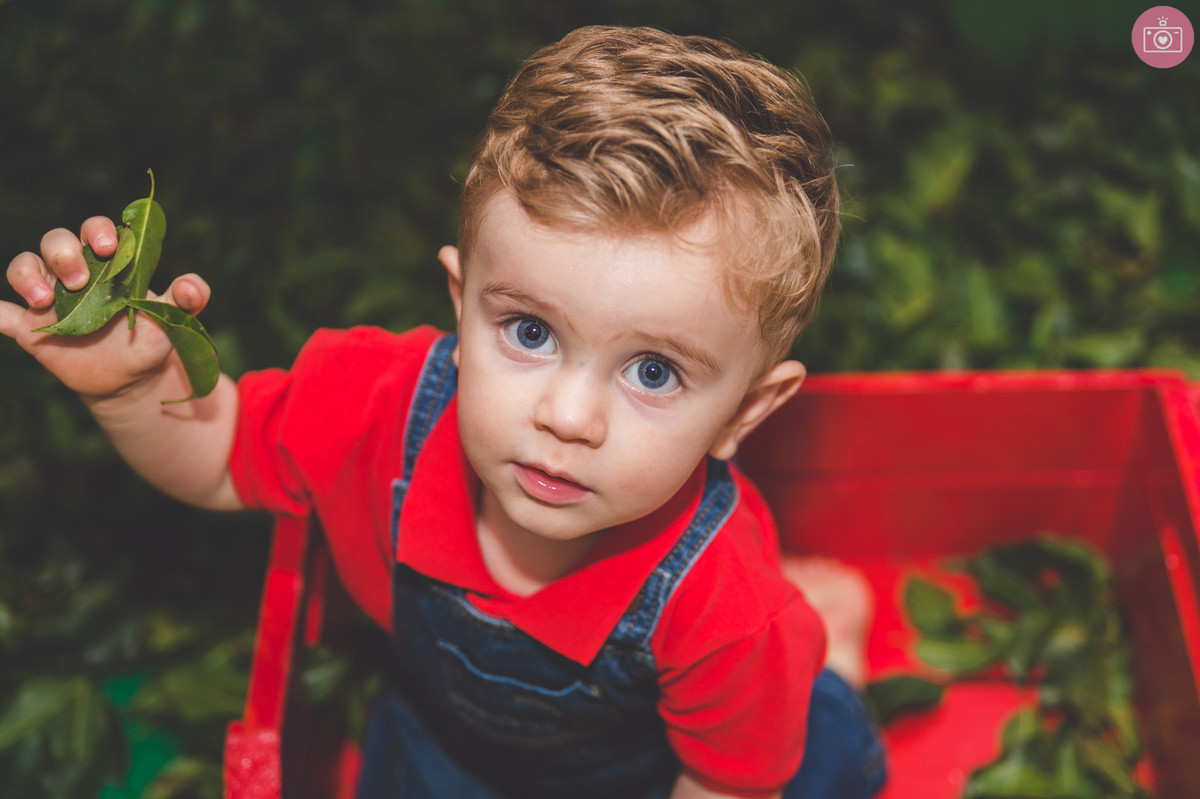 aniversario dudu - 1 ano