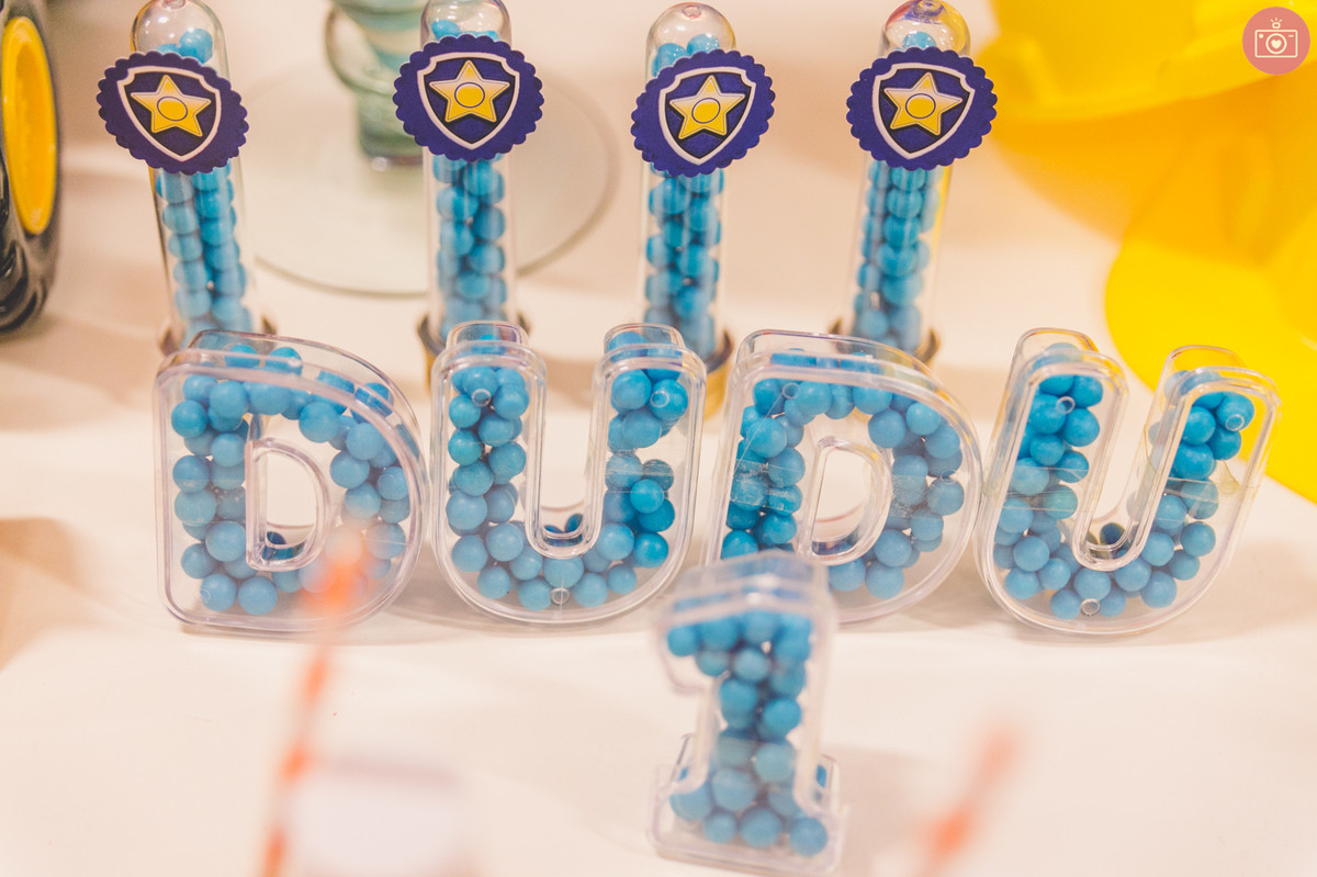 aniversario dudu - 1 ano