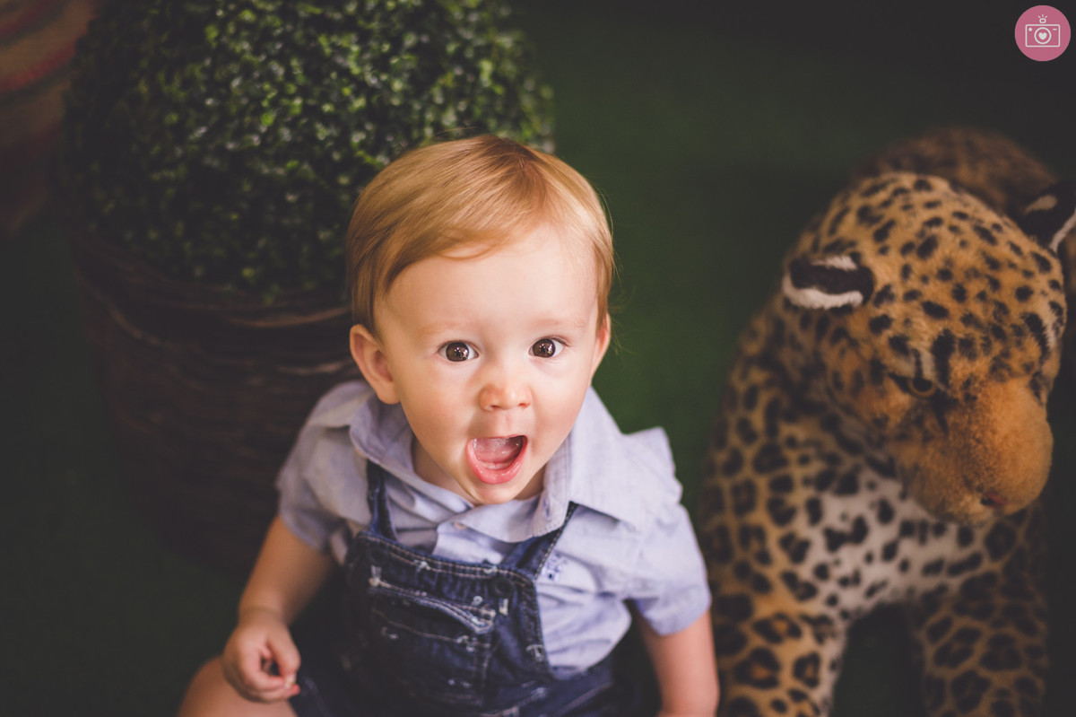 aniversario henrique 1 ano