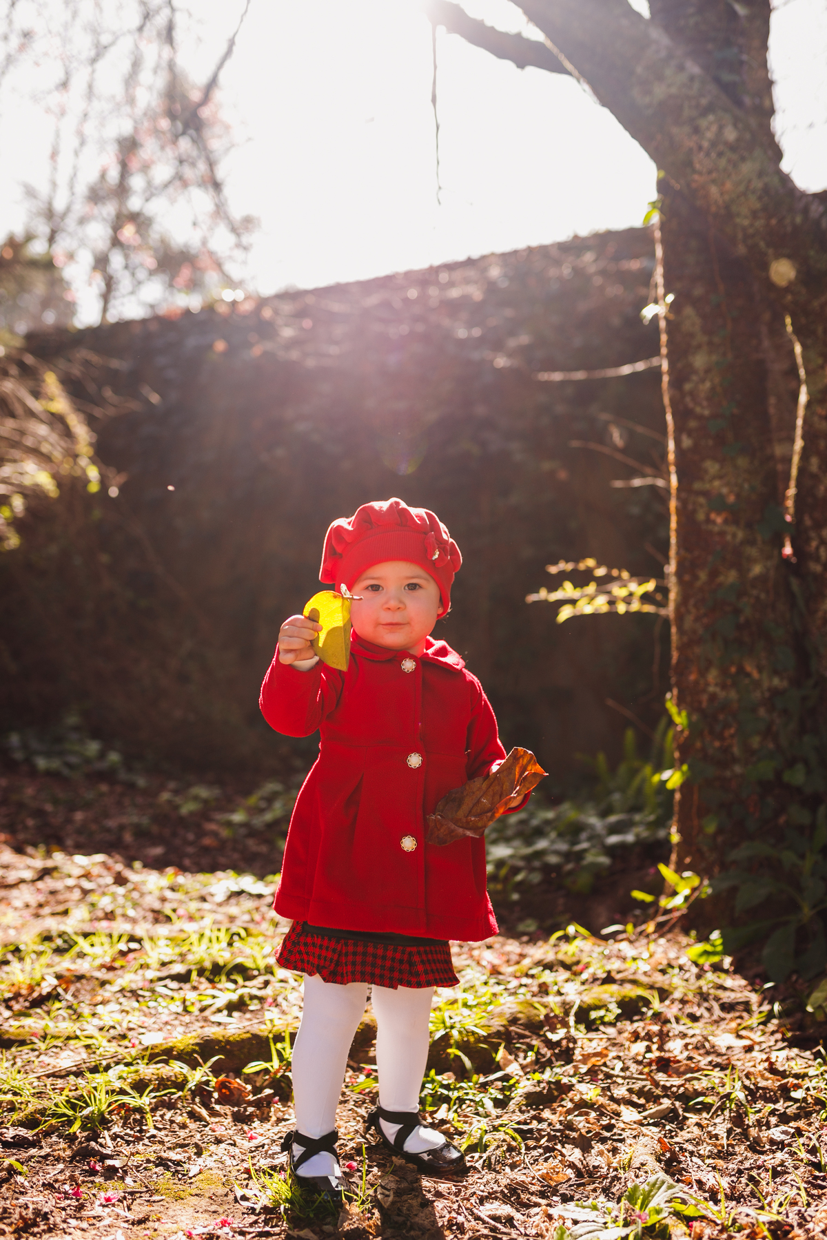 Fotógrafa familia Curitiba - Ensaio externo menina parque