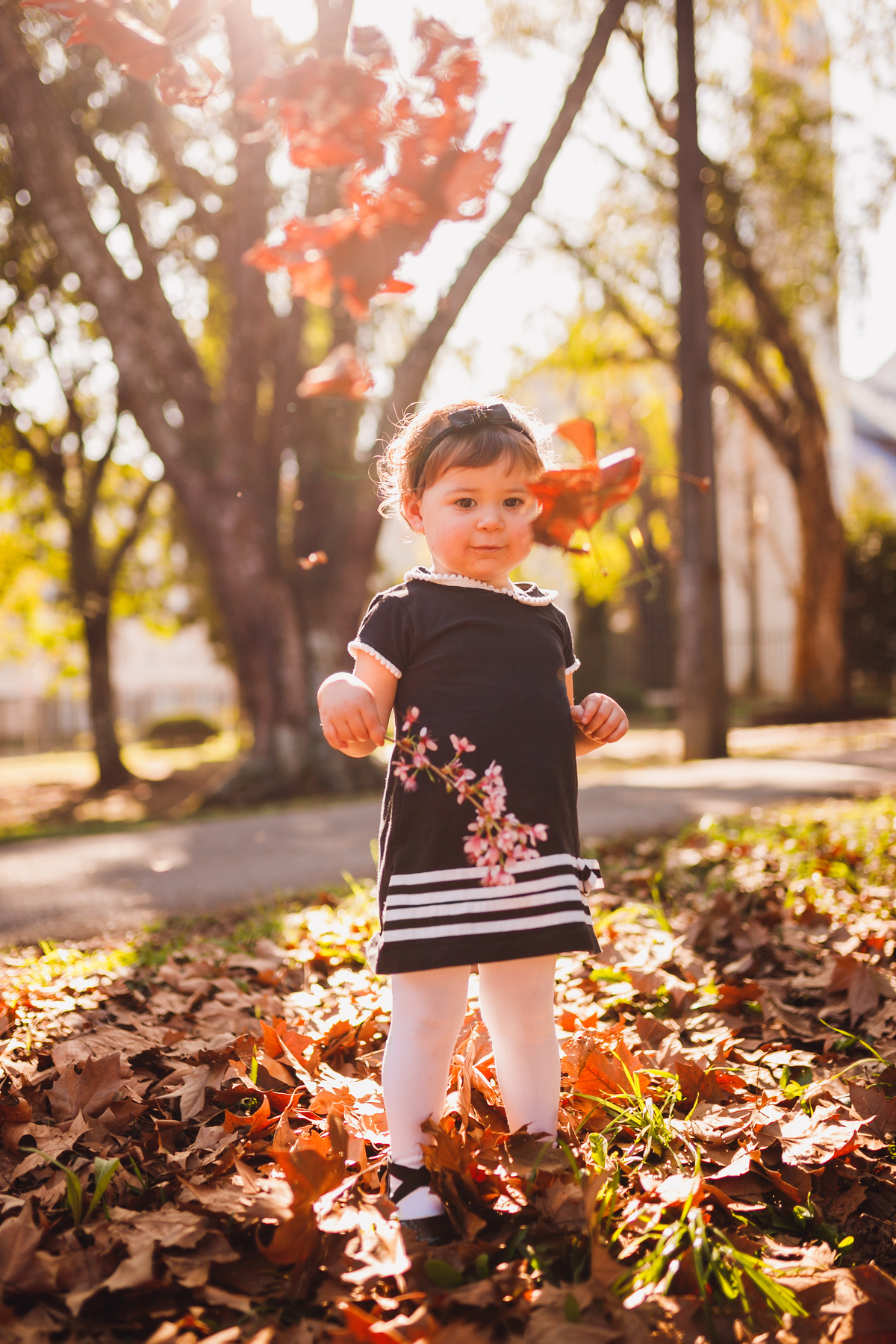 Fotógrafa familia Curitiba - Ensaio externo menina parque