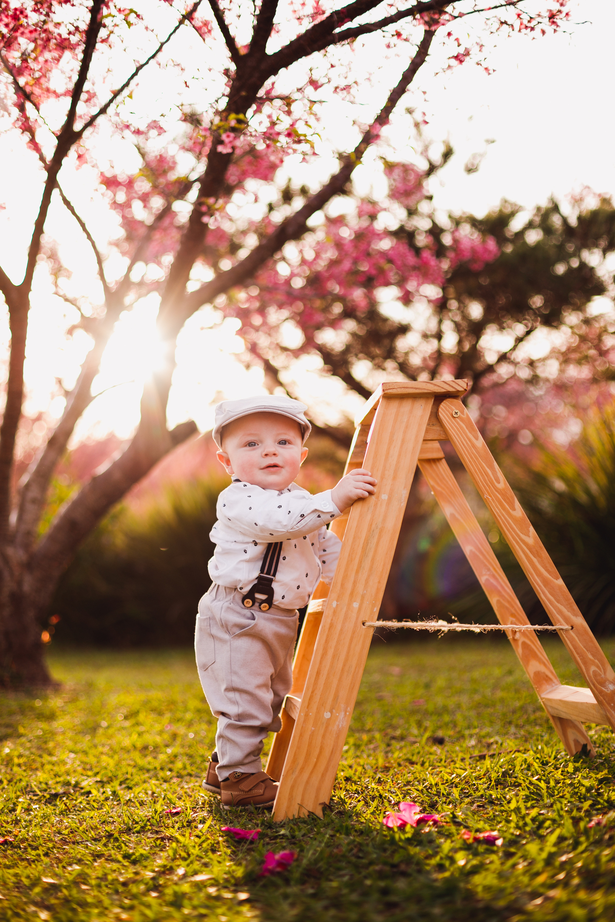 Fotógrafa familia Curitiba - Ensaio externo menino Cerejeira