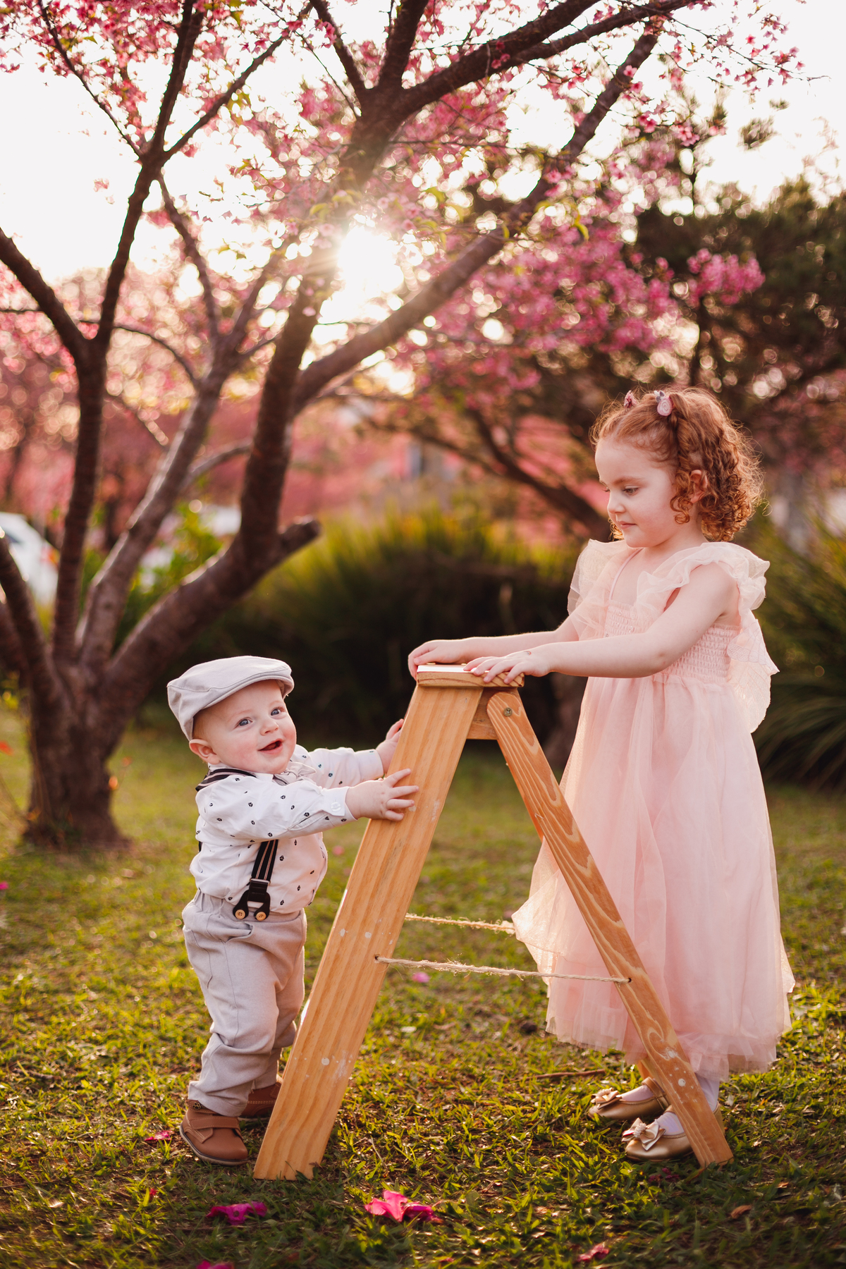 Fotógrafa familia Curitiba - Ensaio externo menino Cerejeira