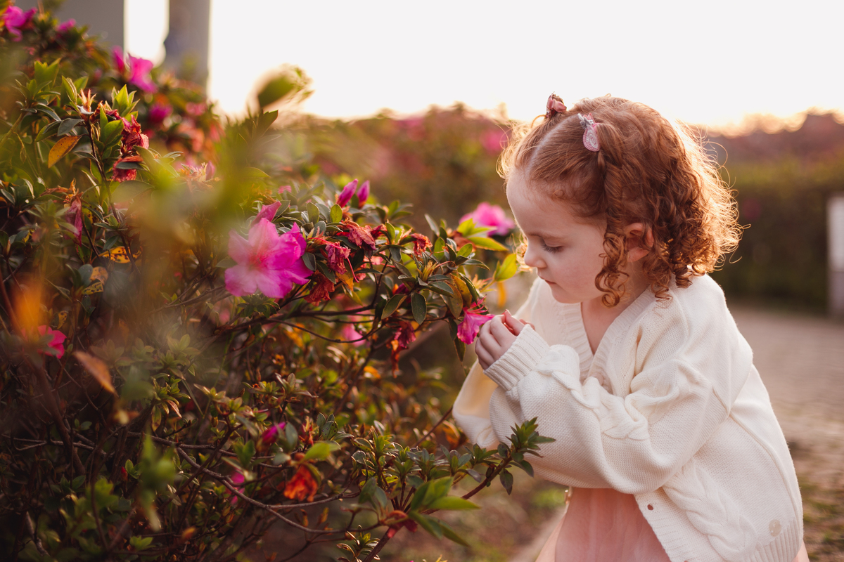 Fotógrafa familia Curitiba - Ensaio externo menino Cerejeira