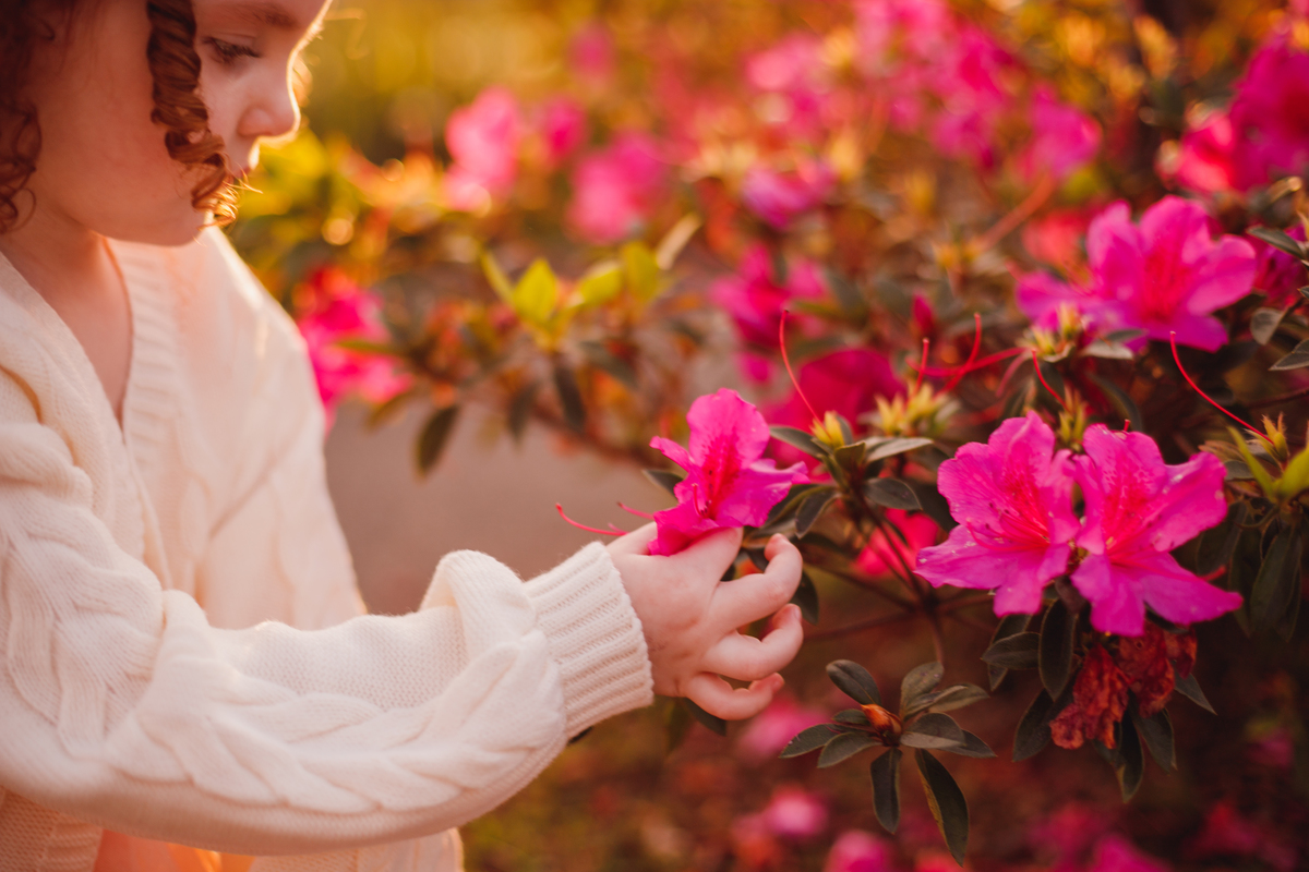 Fotógrafa familia Curitiba - Ensaio externo menino Cerejeira