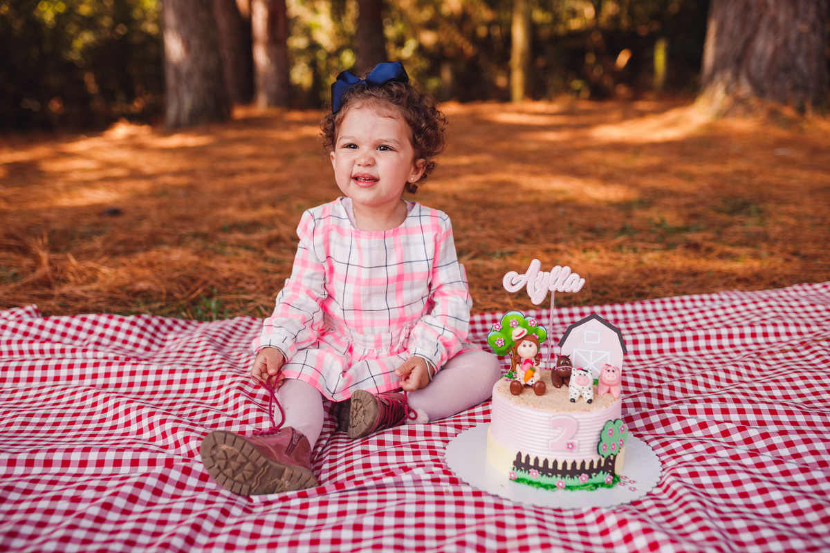 Fotógrafa familia Curitiba - Ensaio externo Villa dos Animais 