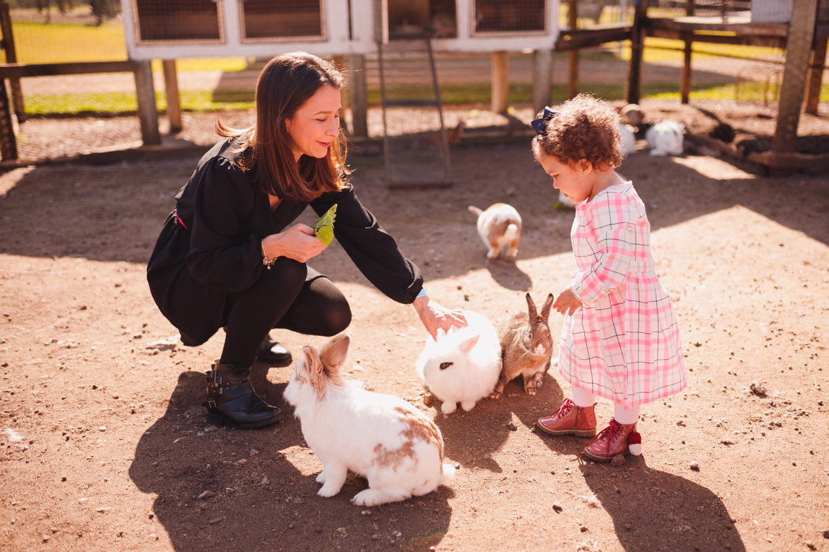 Fotógrafa familia Curitiba - Ensaio externo Villa dos Animais 