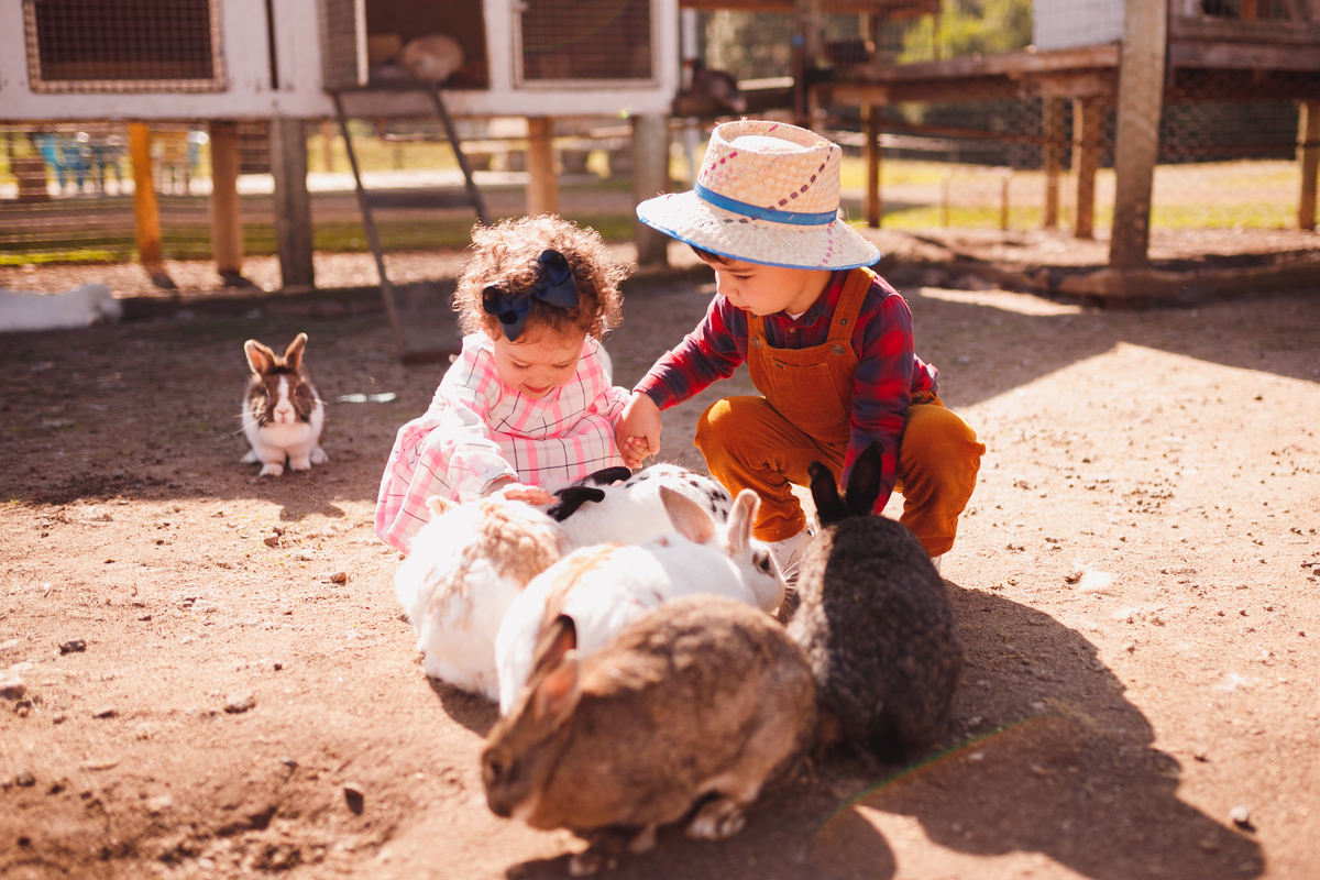 Fotógrafa familia Curitiba - Ensaio externo Villa dos Animais 