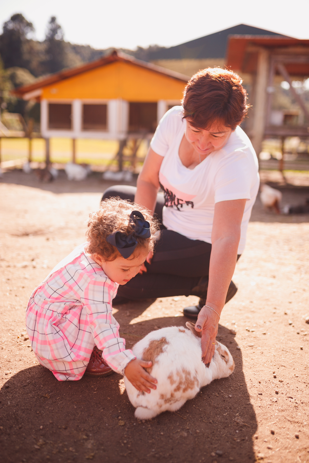 Fotógrafa familia Curitiba - Ensaio externo Villa dos Animais 