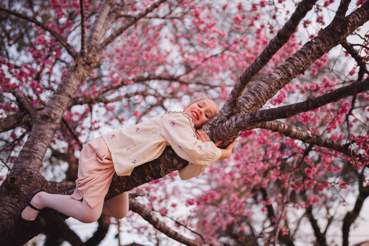 Fotógrafa família Curitiba - Ensaio externo cerejeiras bebê 