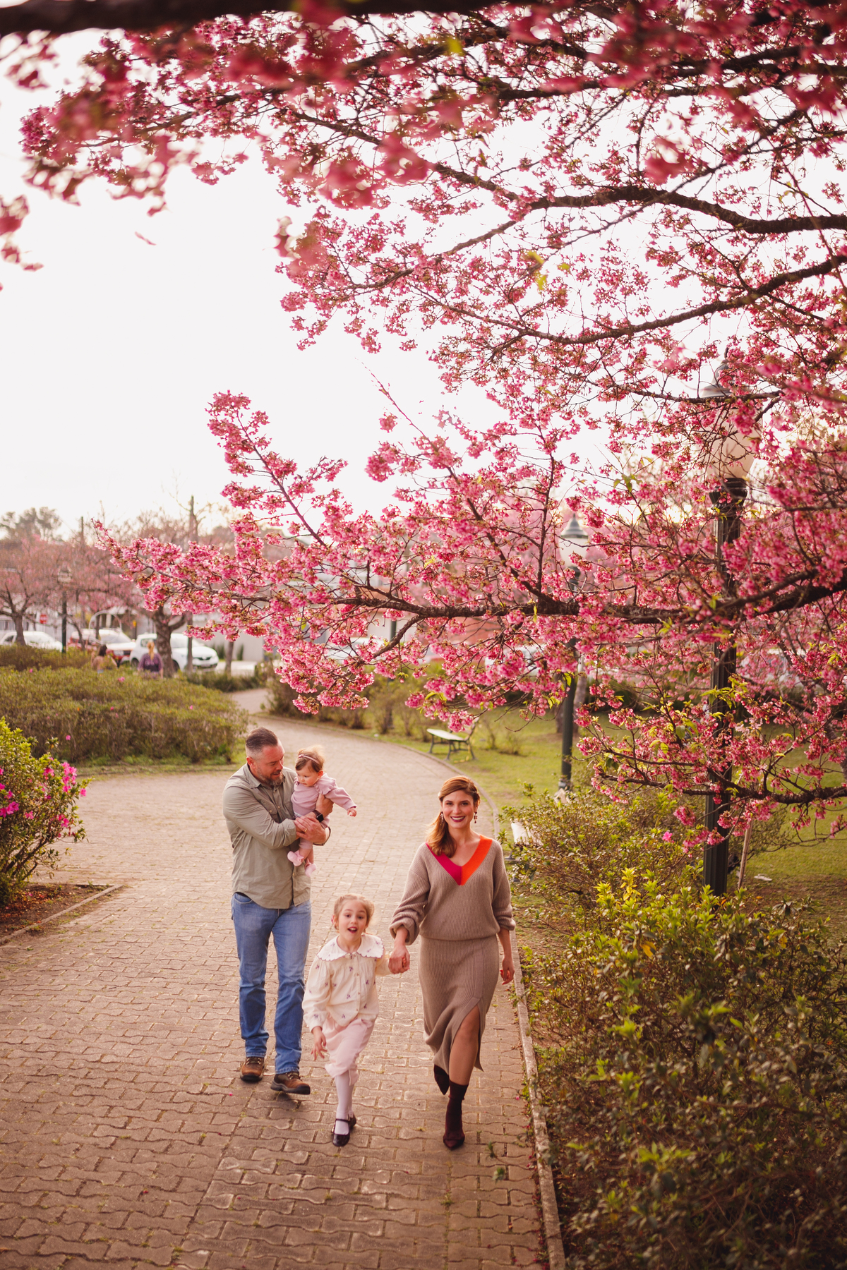 Fotógrafa família Curitiba - Ensaio externo cerejeiras bebê 