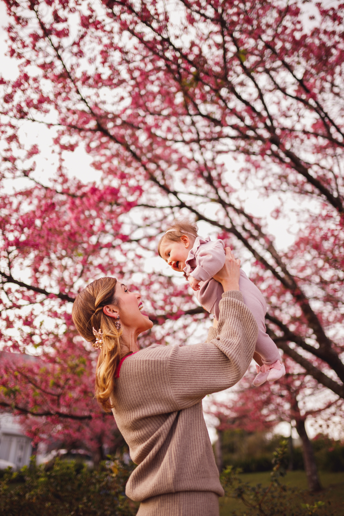 Fotógrafa família Curitiba - Ensaio externo cerejeiras bebê 