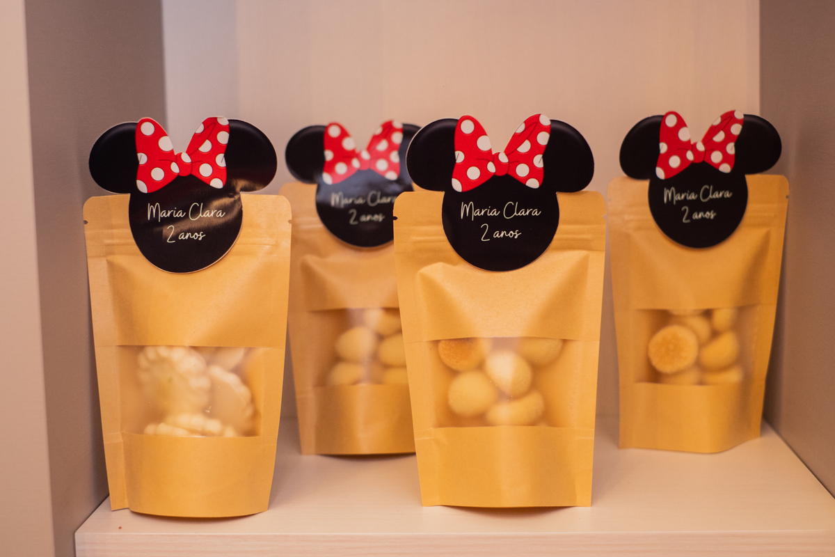 Fotografa familia Curitiba - Aniversario infantil menina Minnie 
