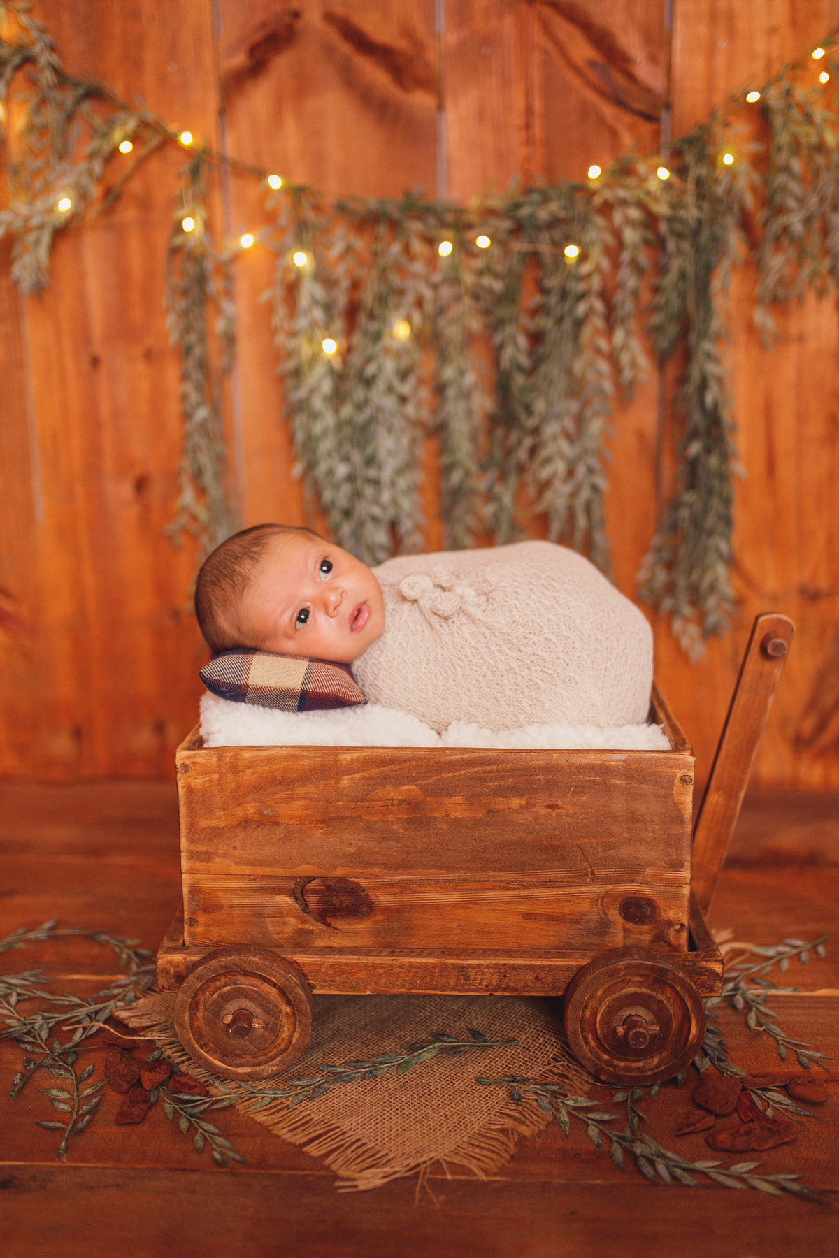 fotografa familia curitiba - newborn menino estudio 